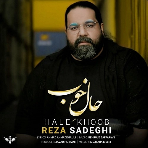 Cover artwork for Hale Khoob by Reza Sadeghi